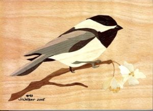 Veneer hobby packs are often available in both domestic and exotic woods