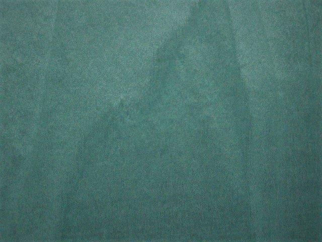 Dyed Blue Tulip 2005