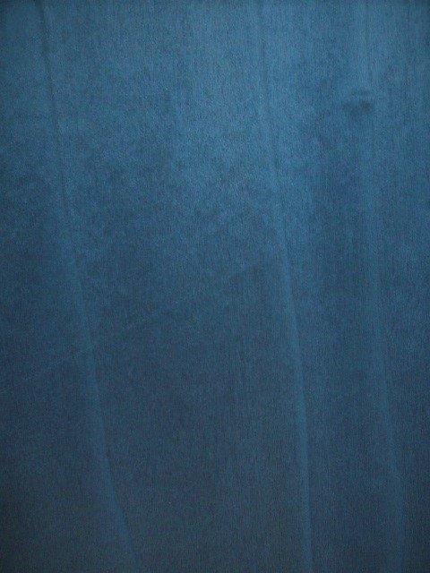 Dyed Blue Tulip