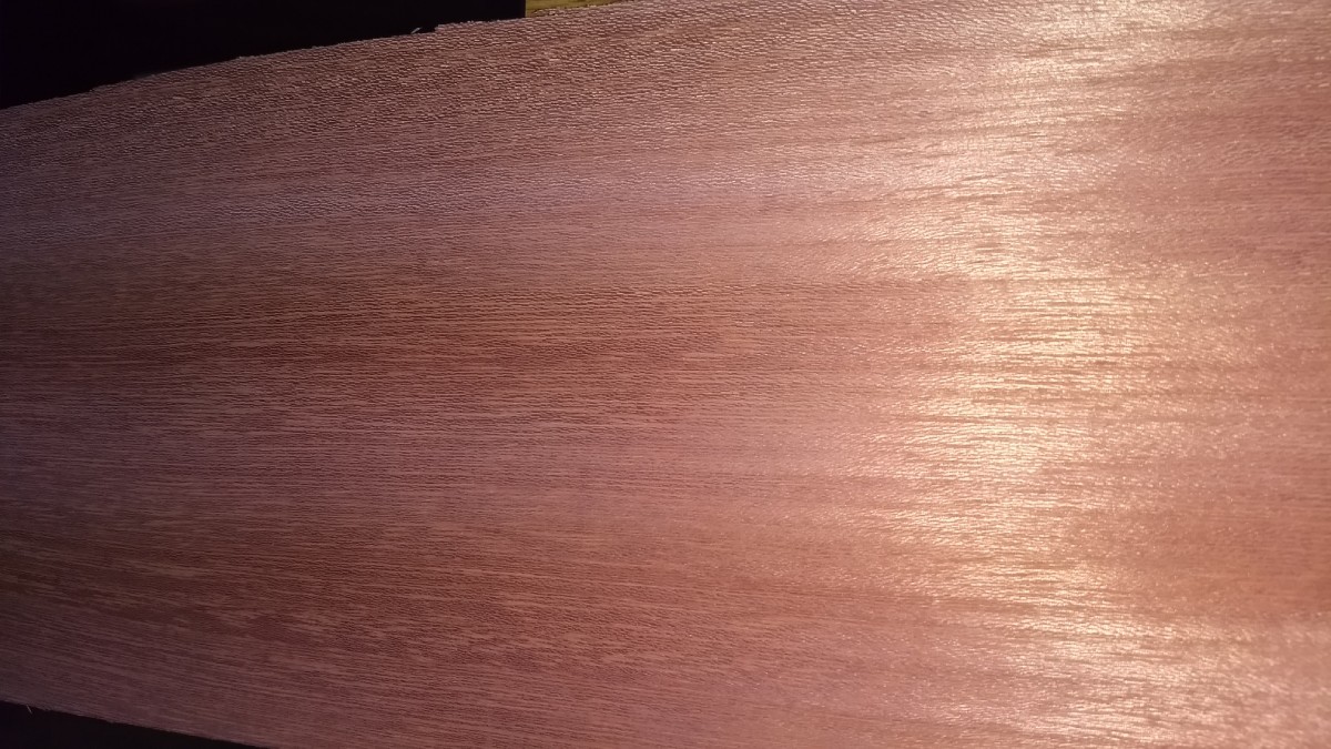Dyed Pink Koto