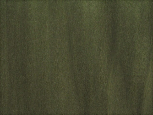 Dyed Green Tulip 1025