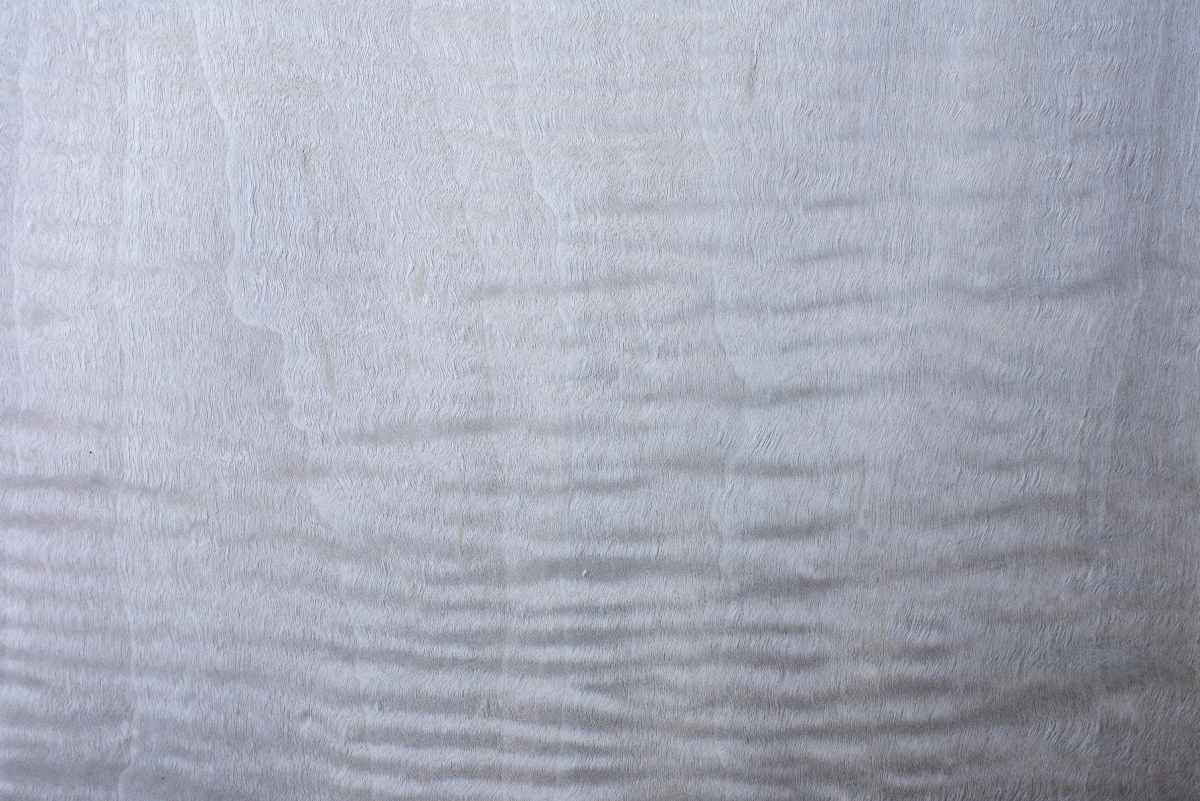 Dyed Grey Maple Curly