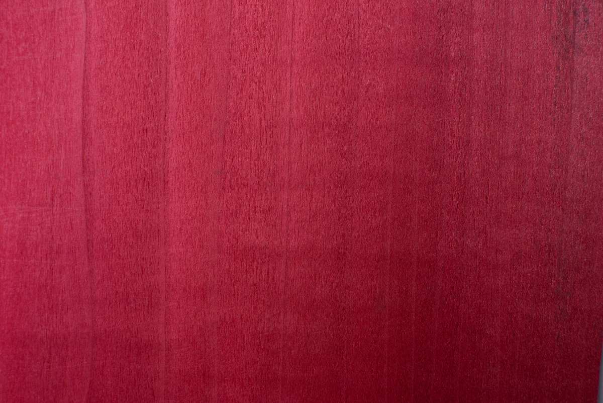 Dyed Red Tulip