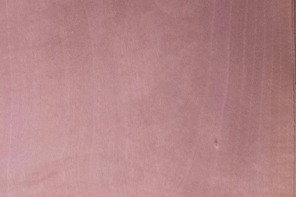 Dyed Mauve Tulip