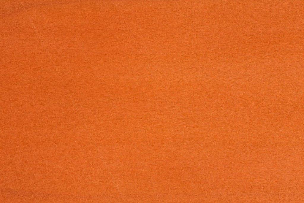 Dyed Orange Tulip
