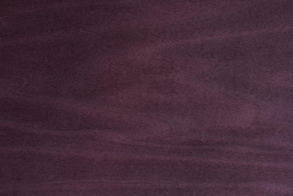 Dyed Purple Tulip