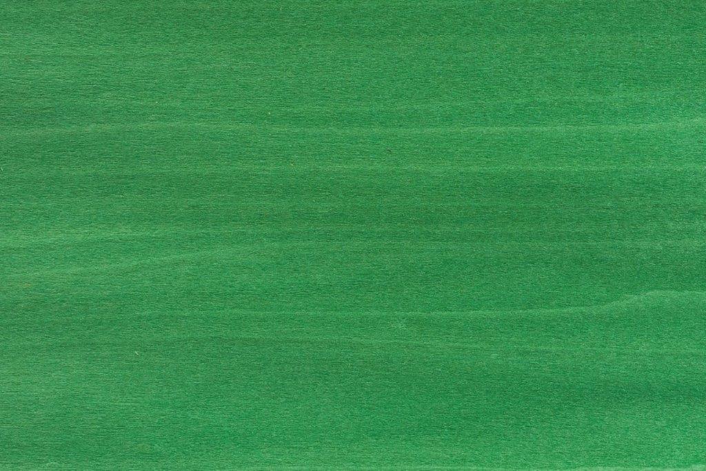 Dyed Green Emerald Tulip
