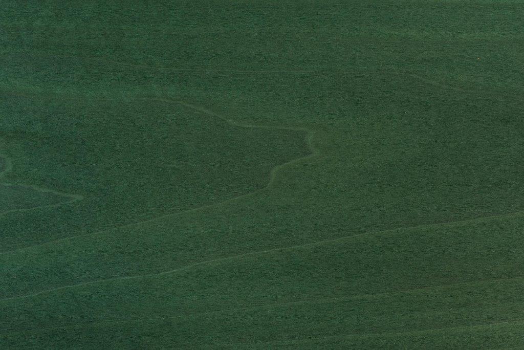 Dyed Green Forest Tulip