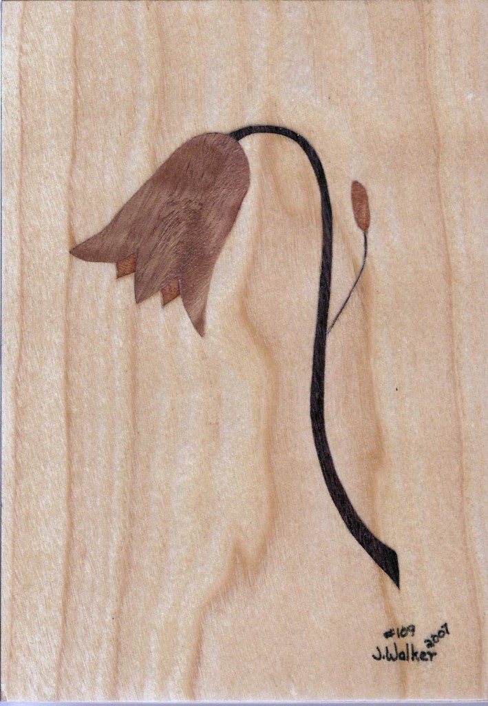 Wood Veneers Gallery