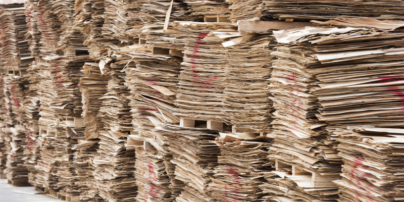 Veneer Sales